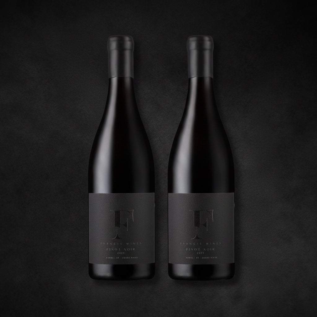PINOT NOIR 2023 - 2 BOTTLES