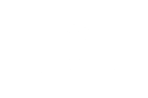 logo-banner-1